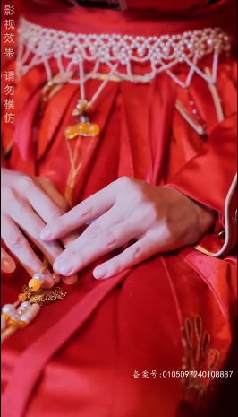 傅总的天降太子妃封面