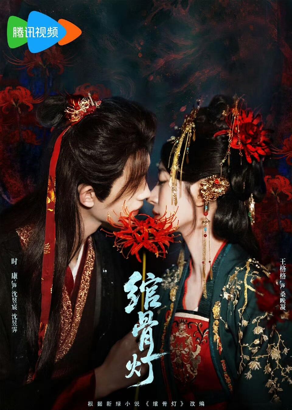 绾骨灯封面