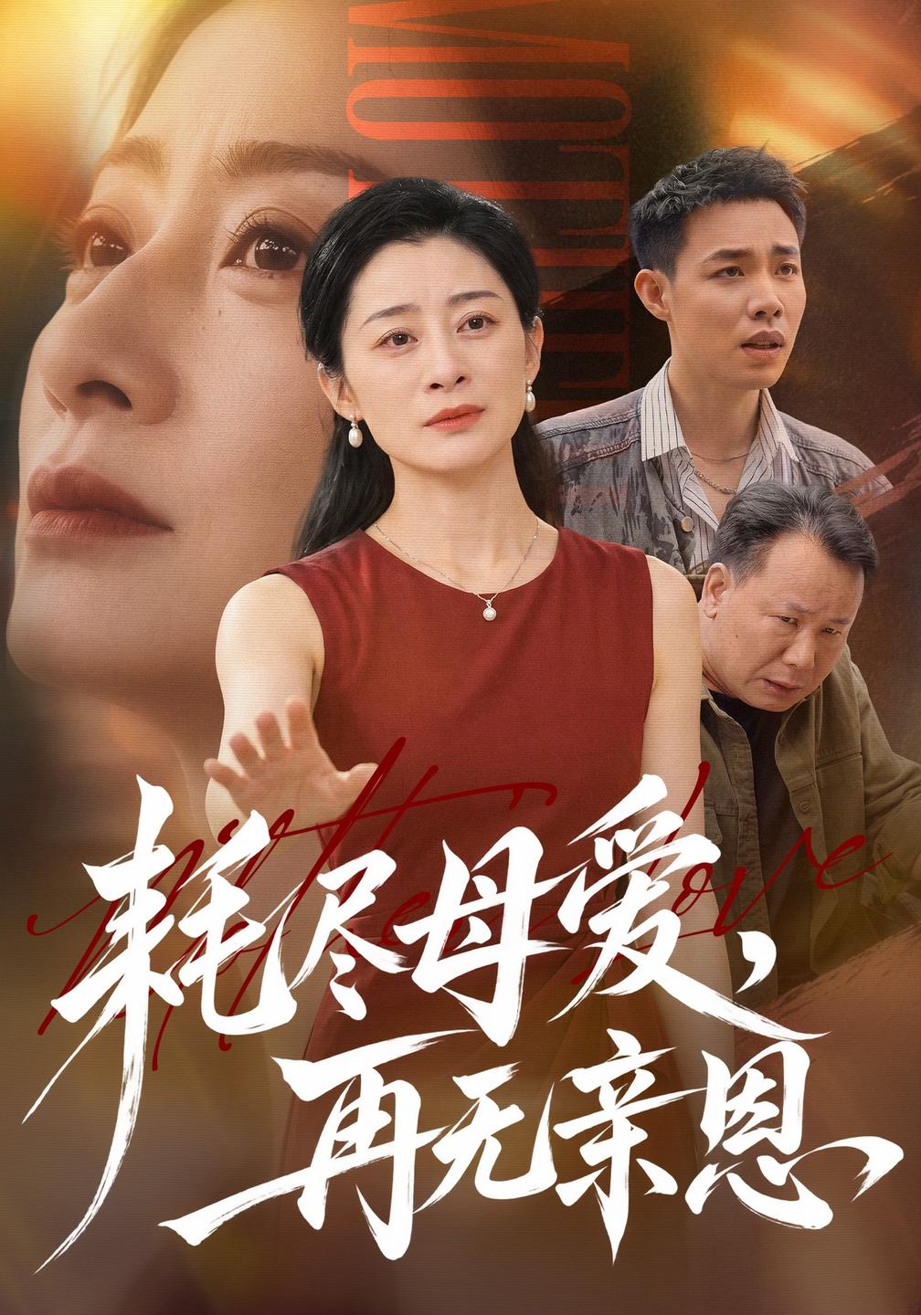 耗尽母爱,再无亲恩封面