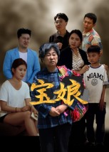 宝娘封面