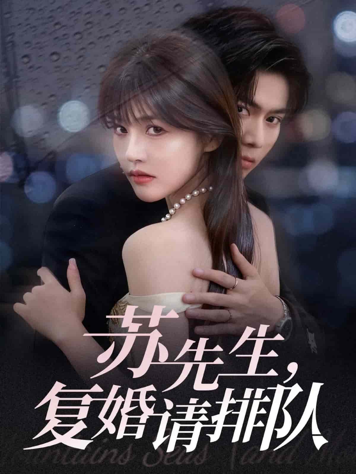 苏先生，复婚请排队封面