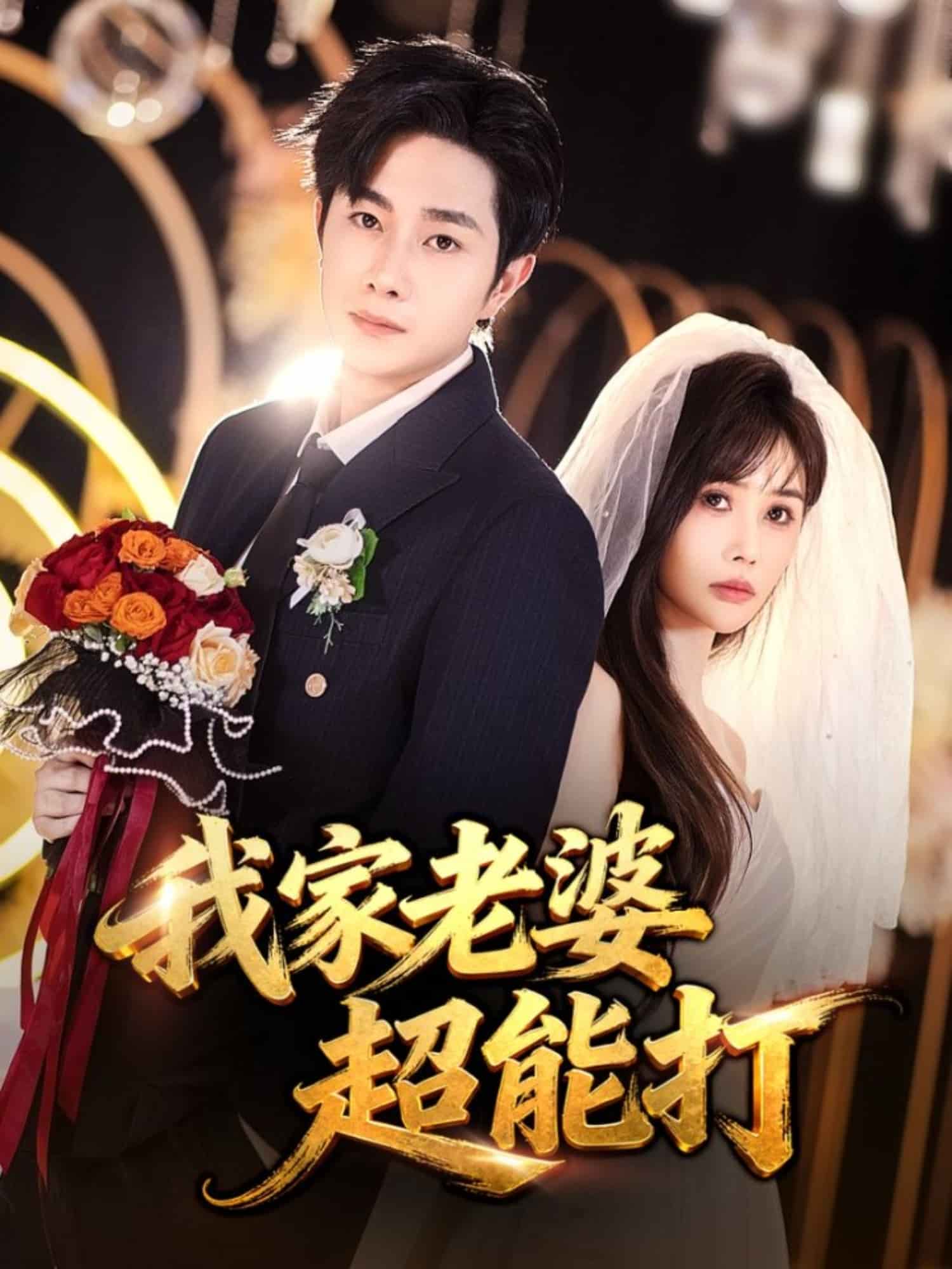 我家老婆超能打封面
