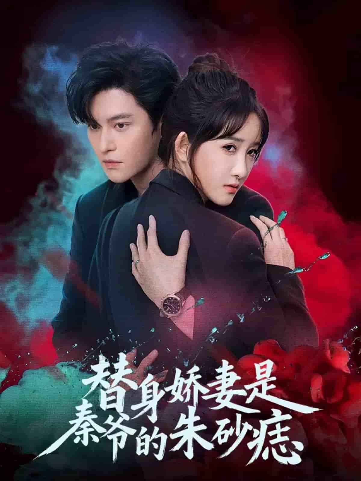 替身娇妻是秦爷的朱砂痣封面