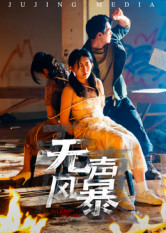 无声风暴封面
