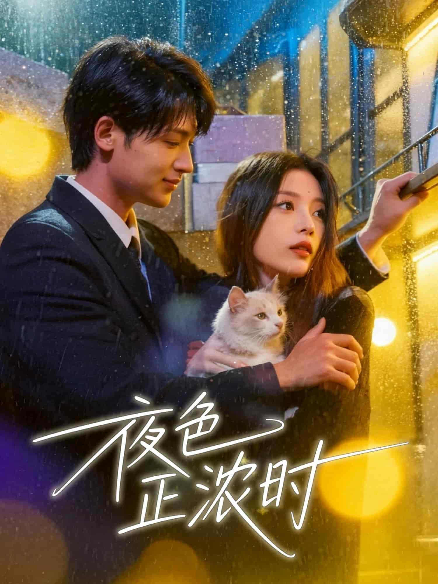 夜色正浓时封面