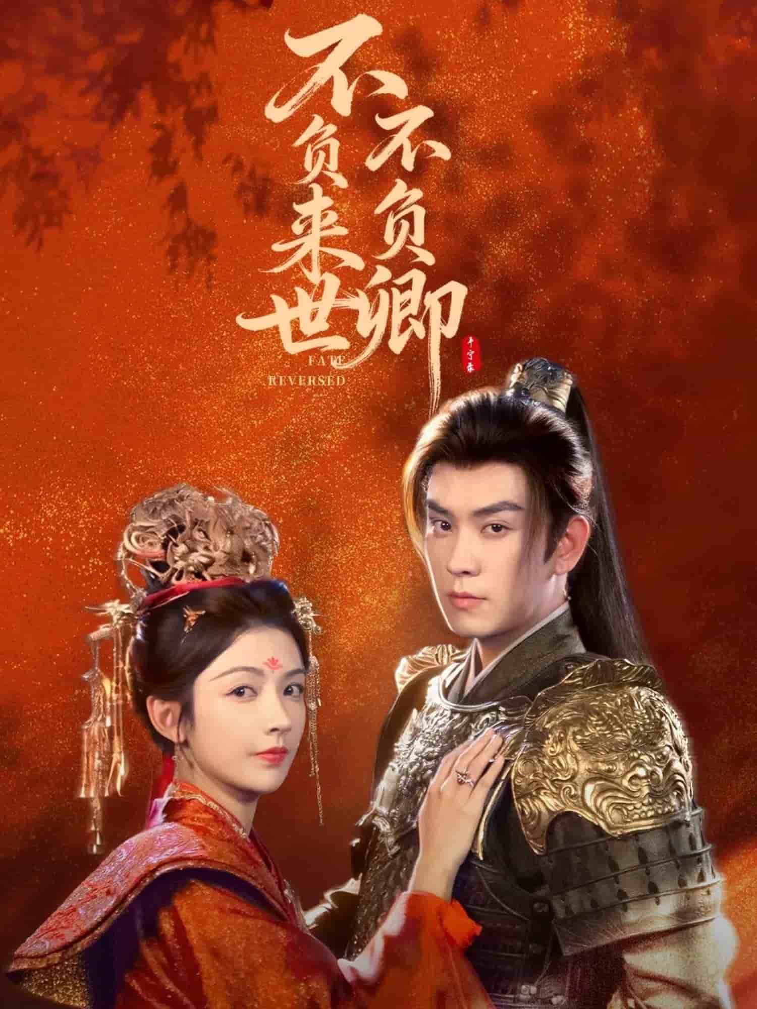 不负来世不负卿封面