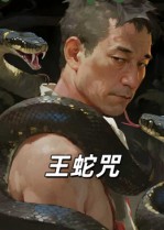 王蛇咒封面