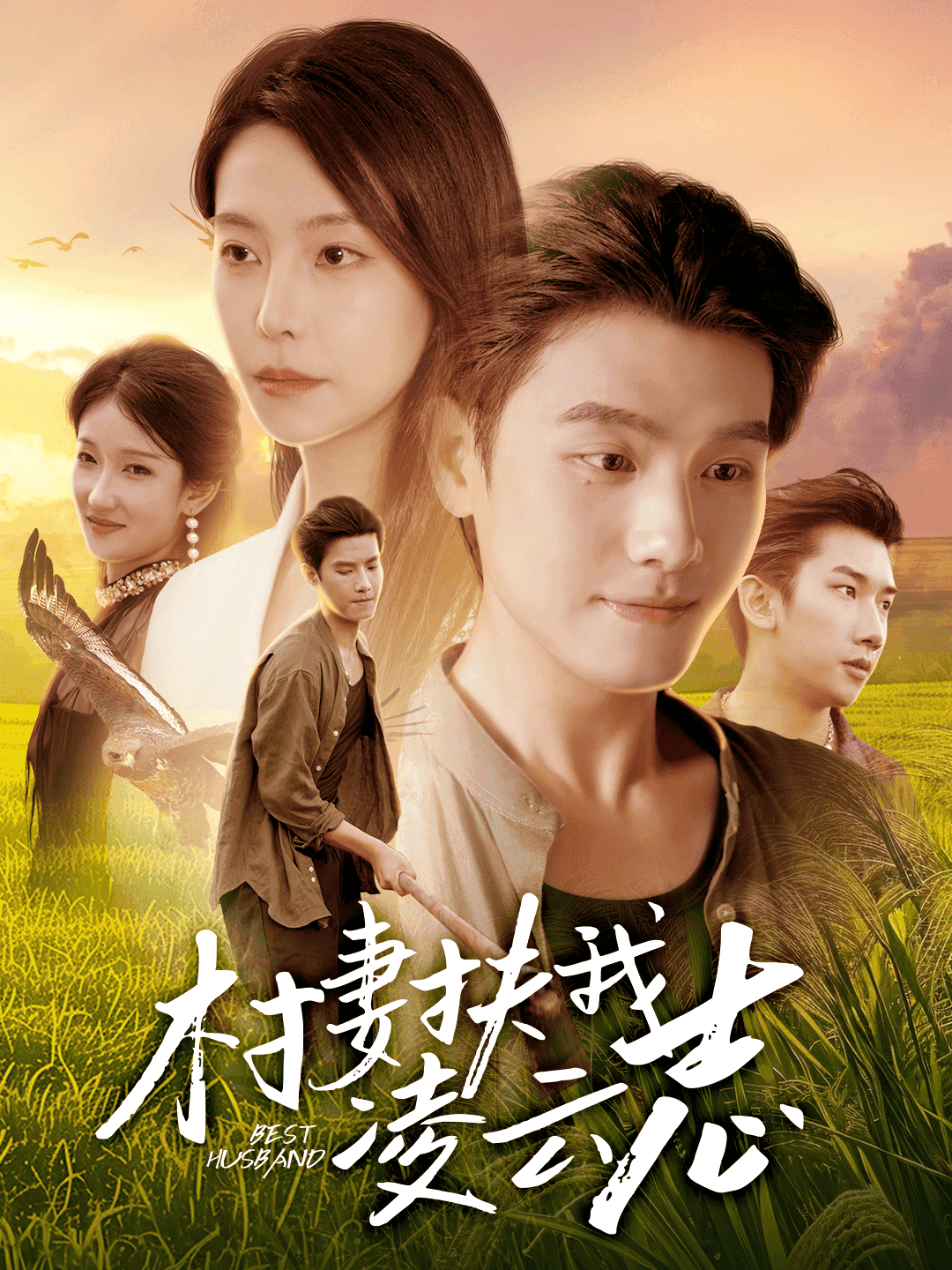 村妻扶我凌云志封面