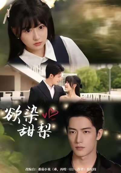 欲染甜梨封面