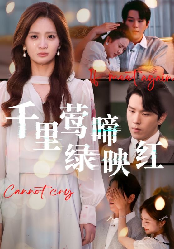 千里莺啼绿映红封面