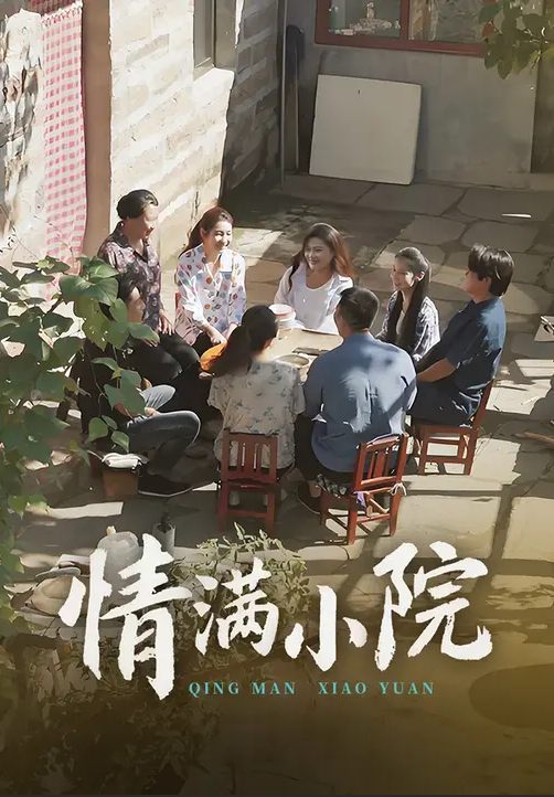 情满小院封面