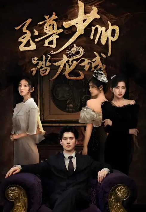 至尊少帅踏龙城封面