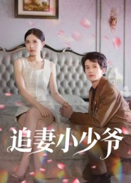 追妻小少爷封面