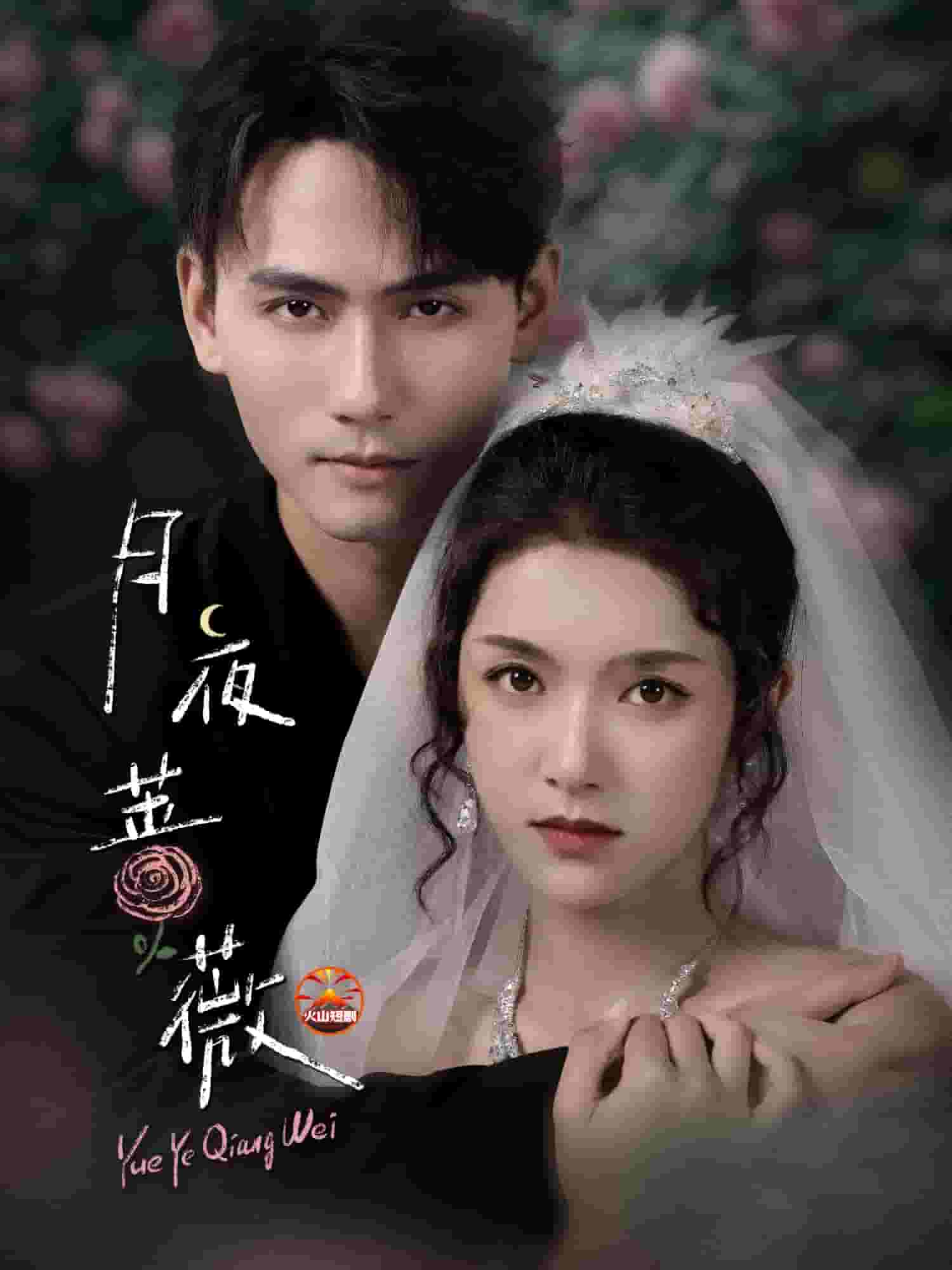 月夜蔷薇封面