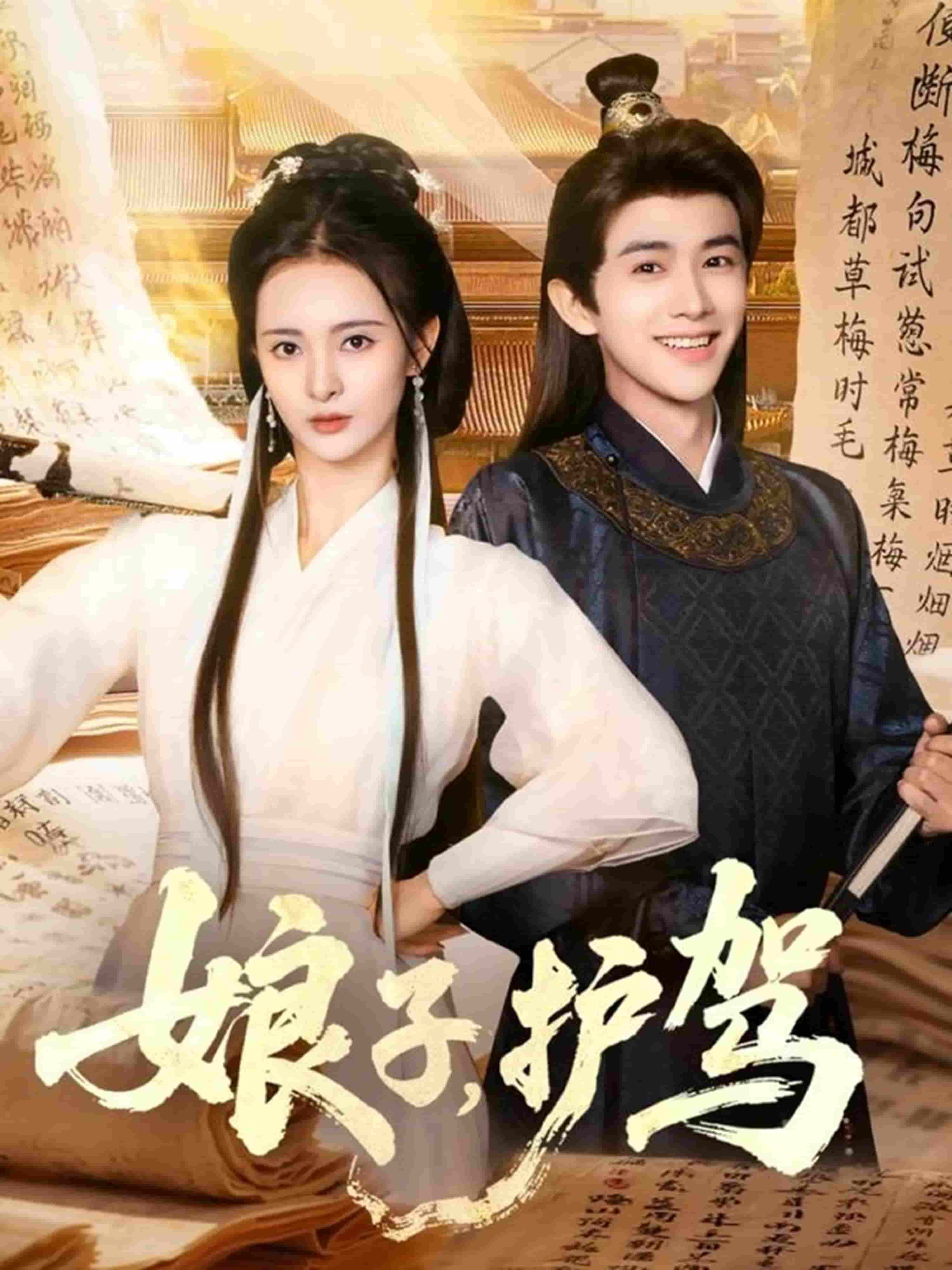 娘子护驾封面