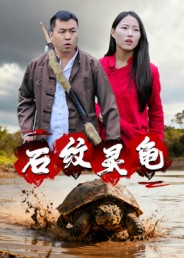 石纹灵龟封面