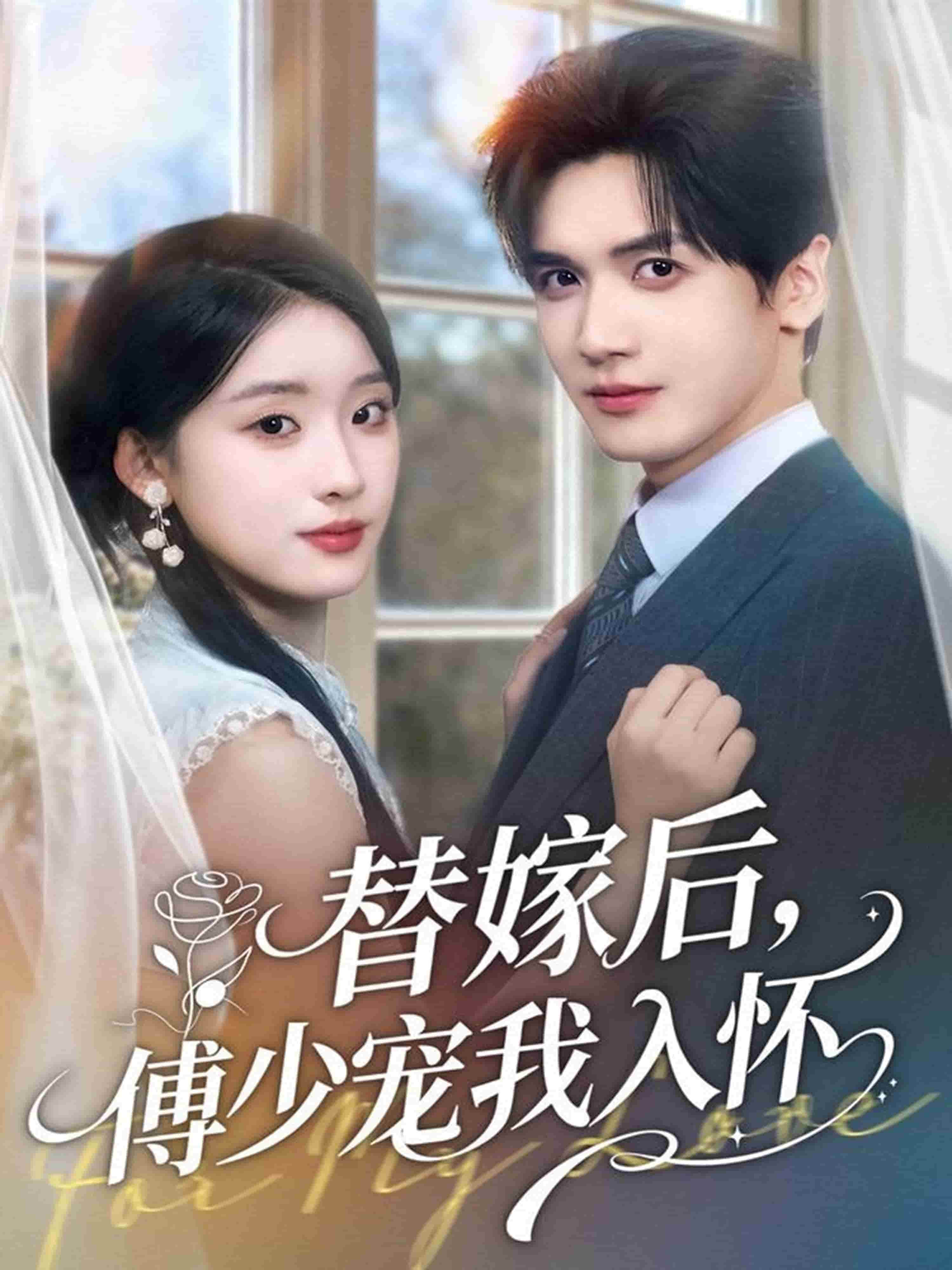 替嫁后，傅少宠我入怀封面