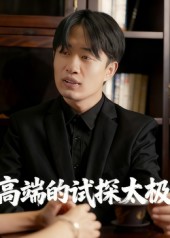 高端的试探太极封面