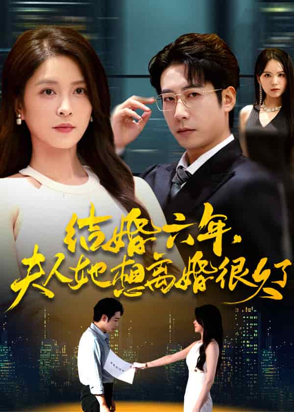结婚六年夫人她想离婚很久了封面