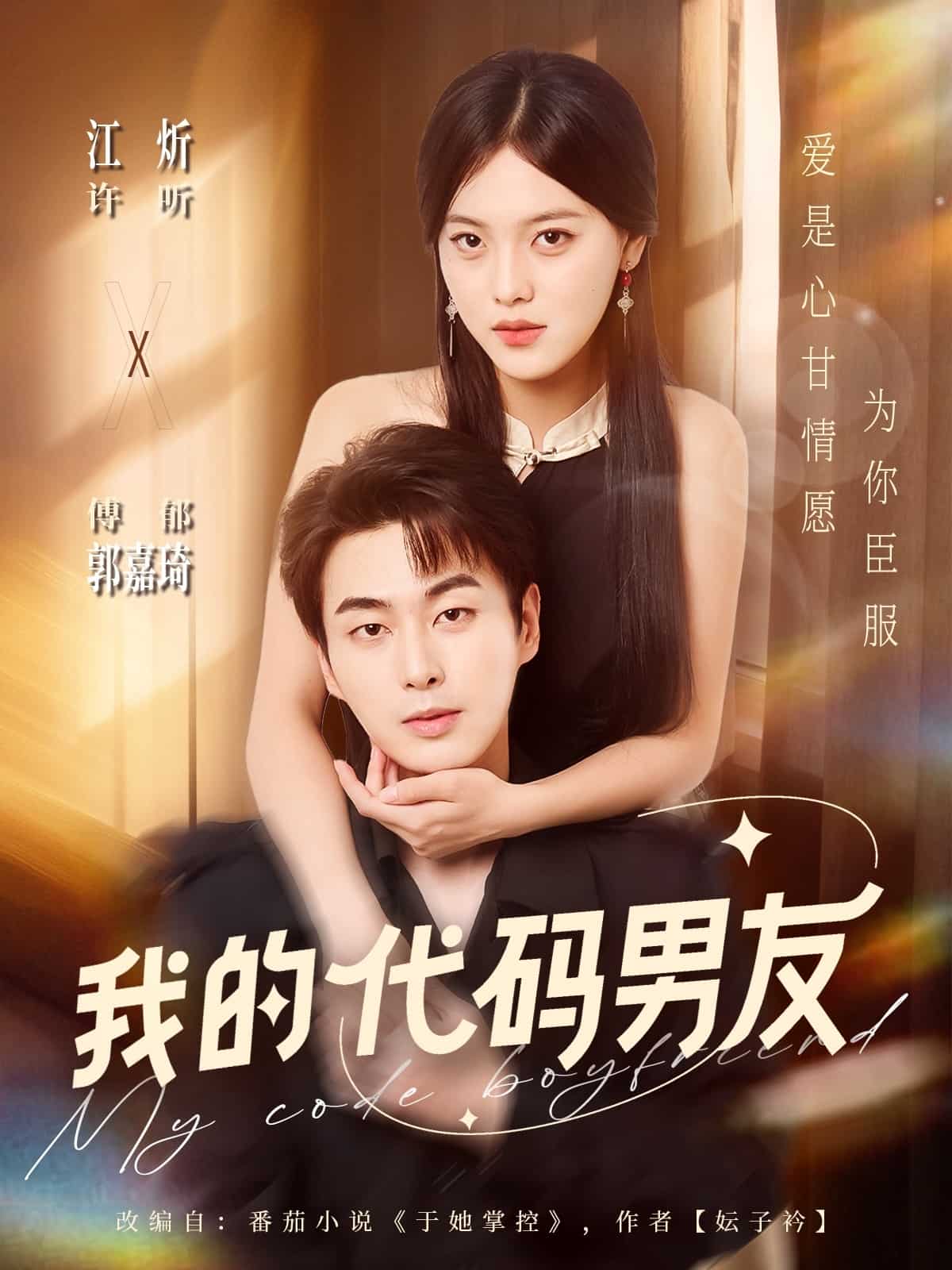 我的代码男友封面