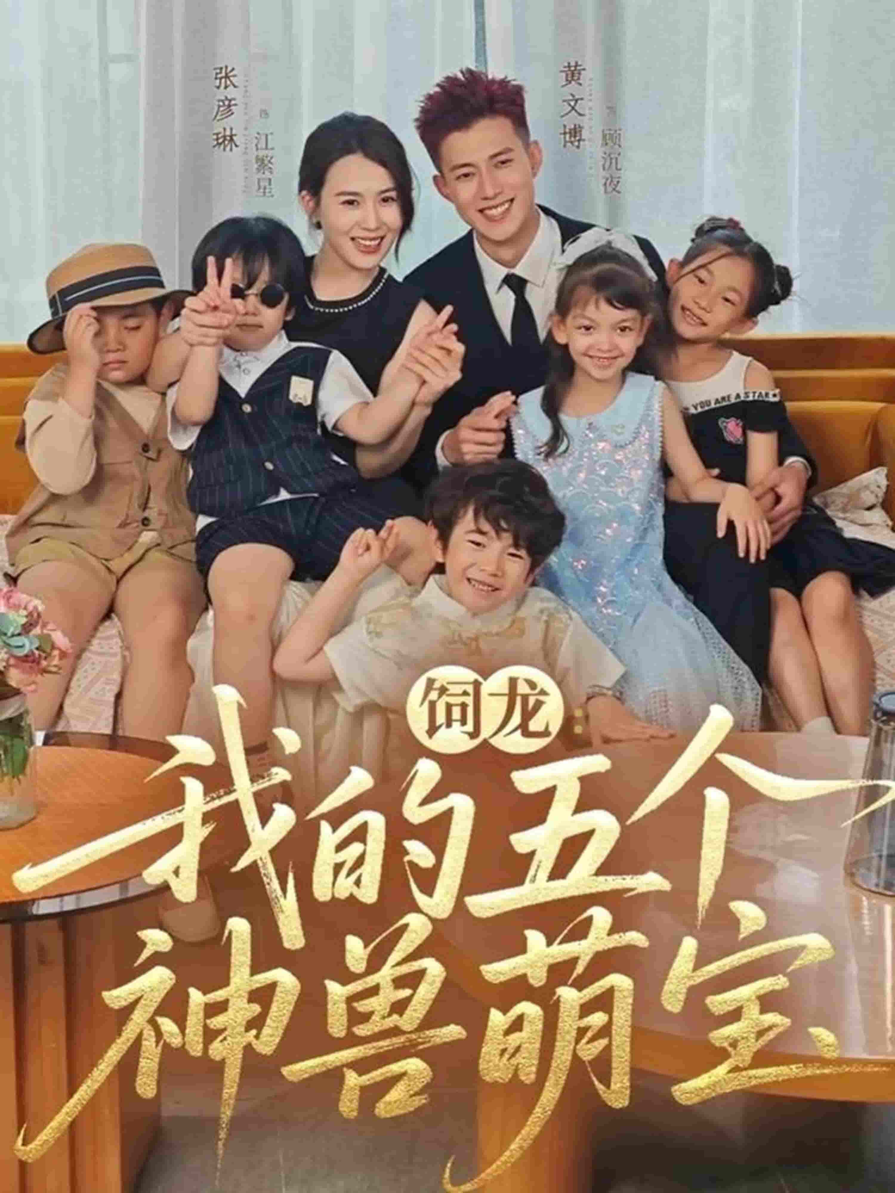 饲龙：我的五个神兽萌宝封面