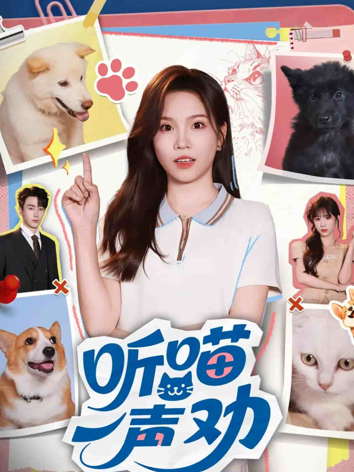 听喵一声劝封面