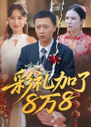 彩礼加了8万8封面