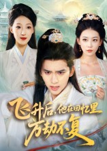 飞升后，他在回忆里万劫不复封面