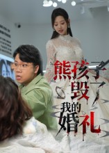熊孩子毁了我的婚礼封面