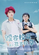 毁容校花和丑男校草封面