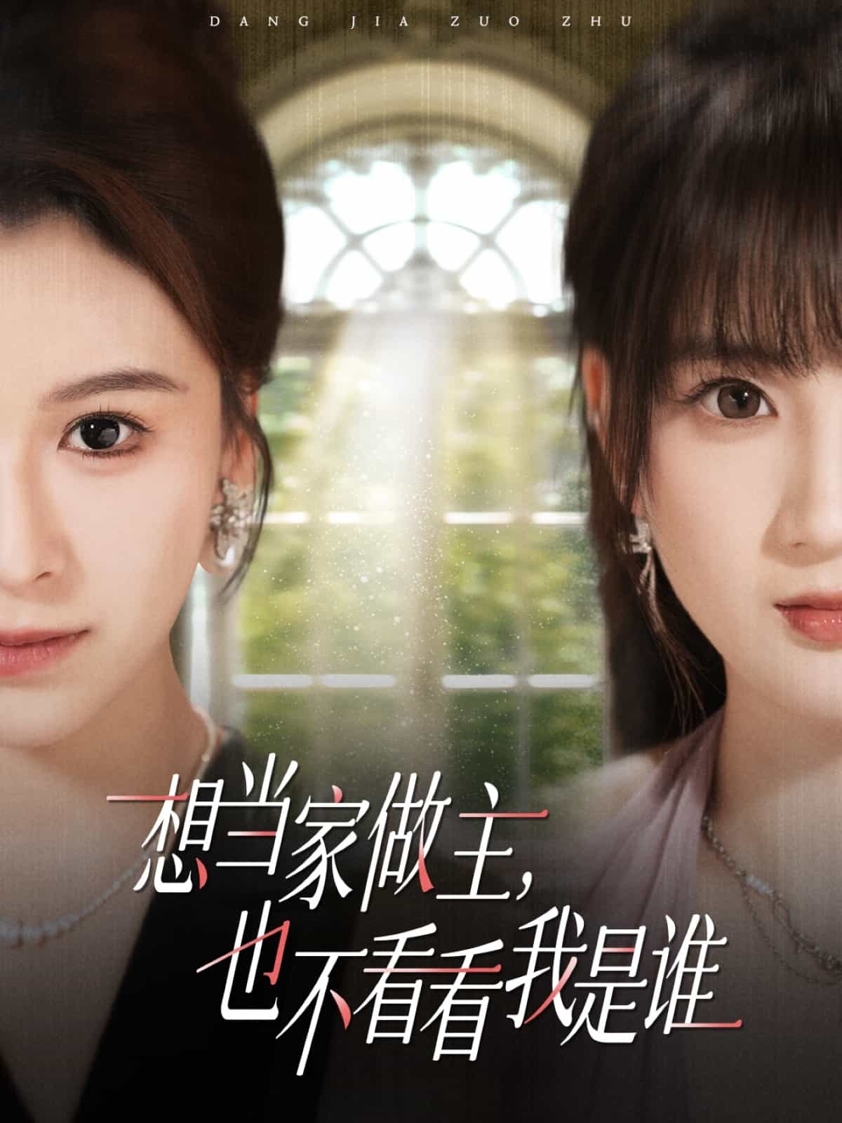 想当家做主，也不看看我是谁封面