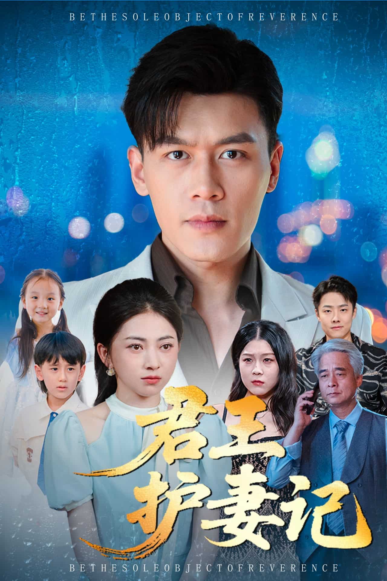 君王护妻记封面
