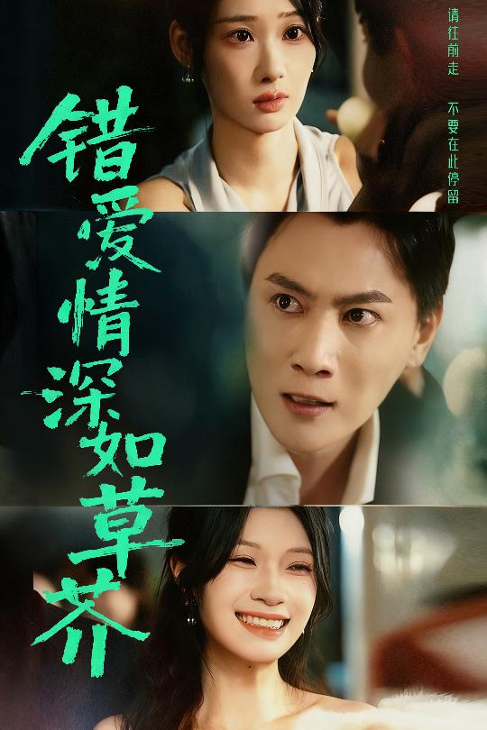 错爱情深如草芥封面