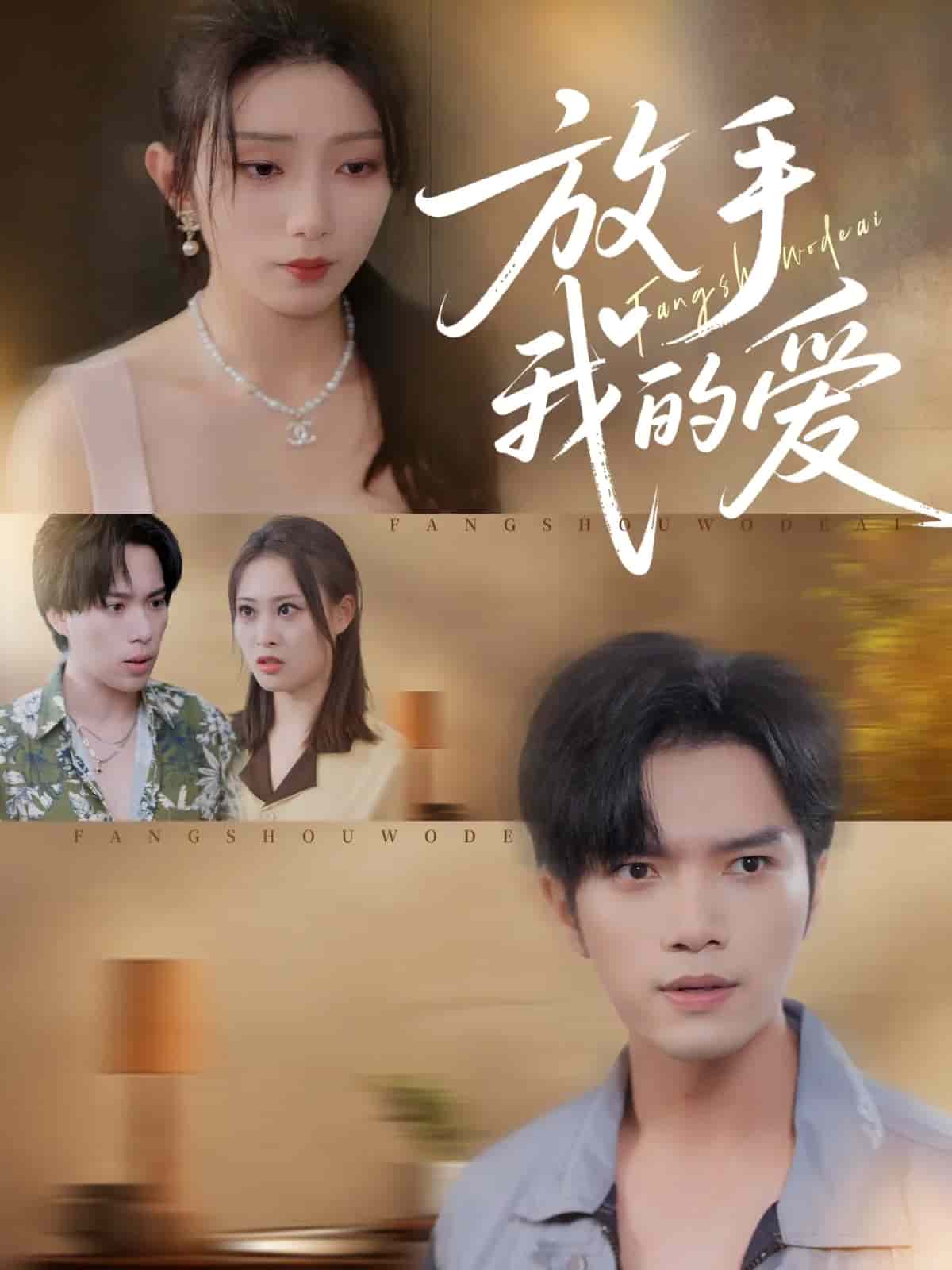 放手我的爱封面