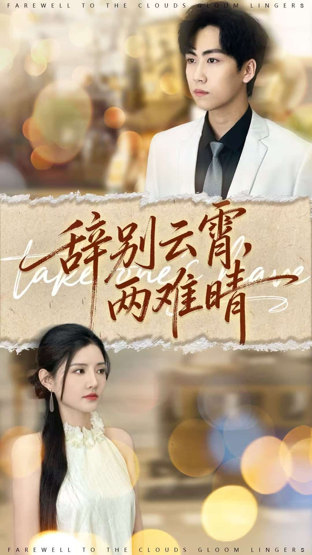 辞别云霄两难晴封面