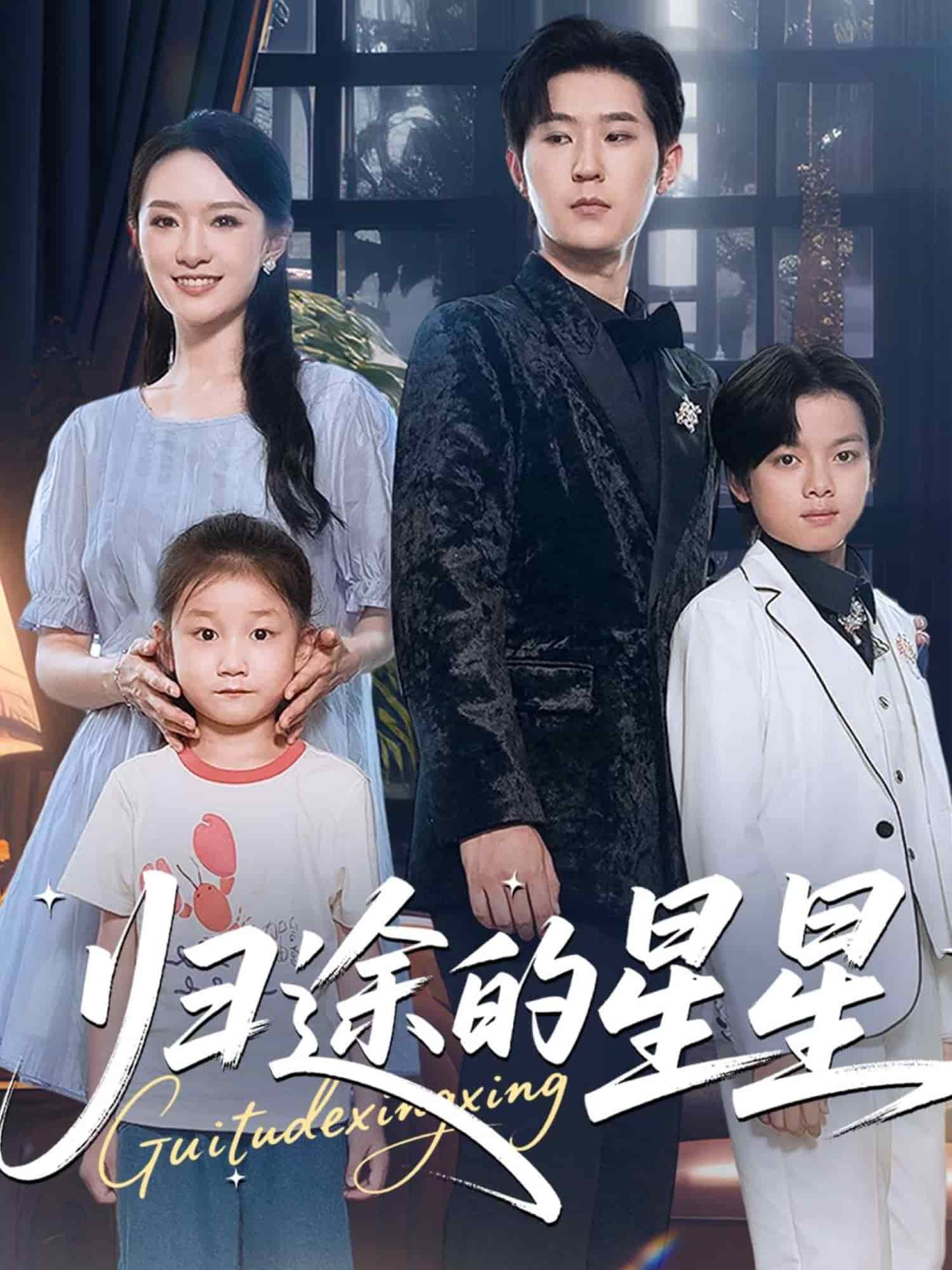 归途的星星封面