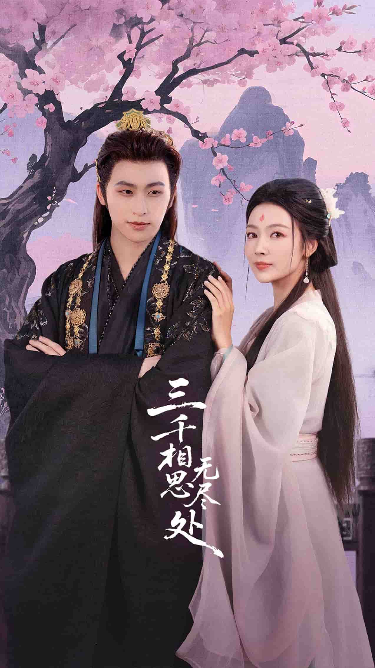 三千相思无尽处封面