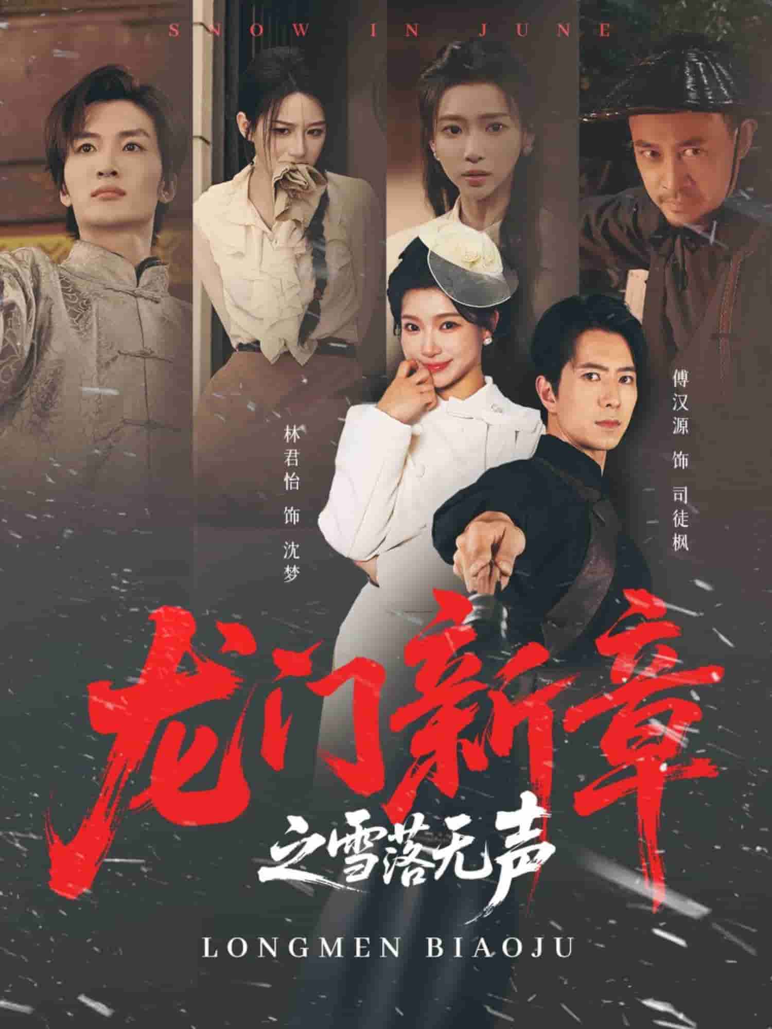 龙门新章之雪落无声封面