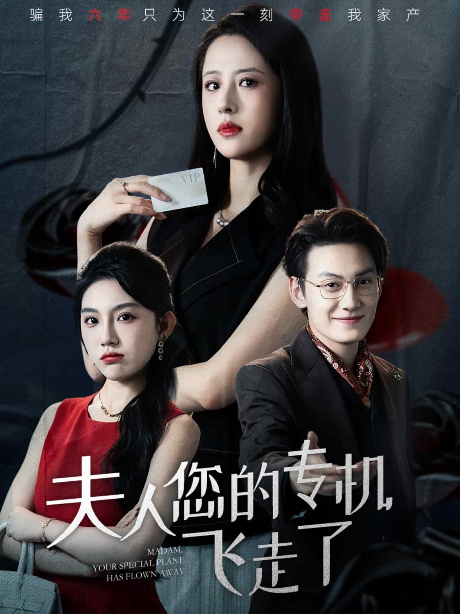 夫人您的专机飞走了封面
