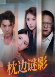 我撞破了妻子的秘密封面