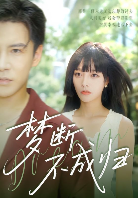 梦断不成归封面