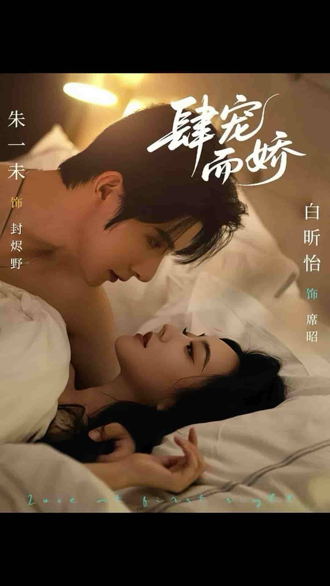 肆宠而娇封面