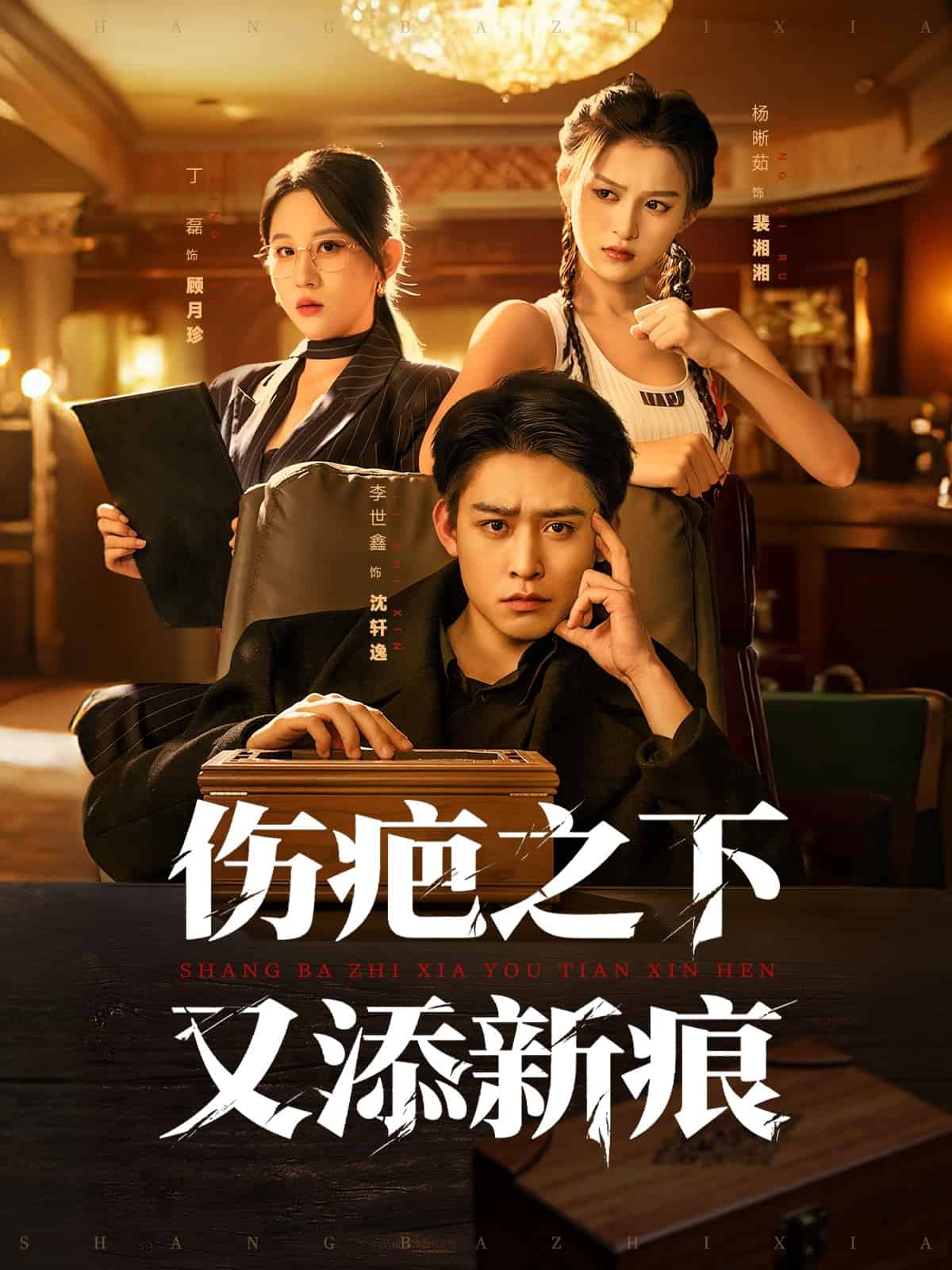 伤疤之下又添新痕封面