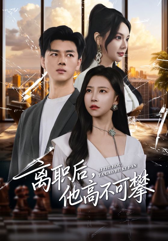 离职后，他高不可攀封面