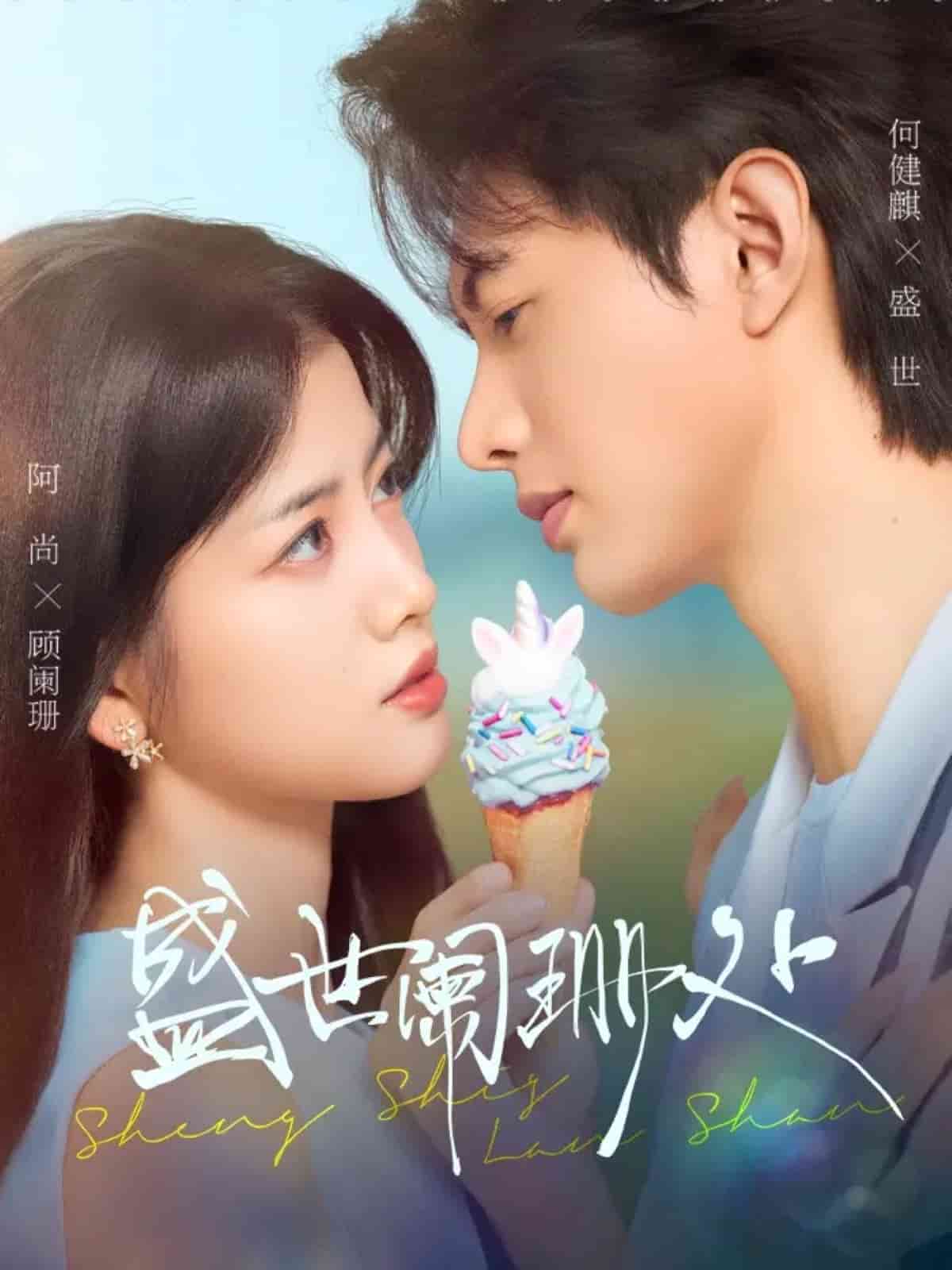 盛世阑珊处封面