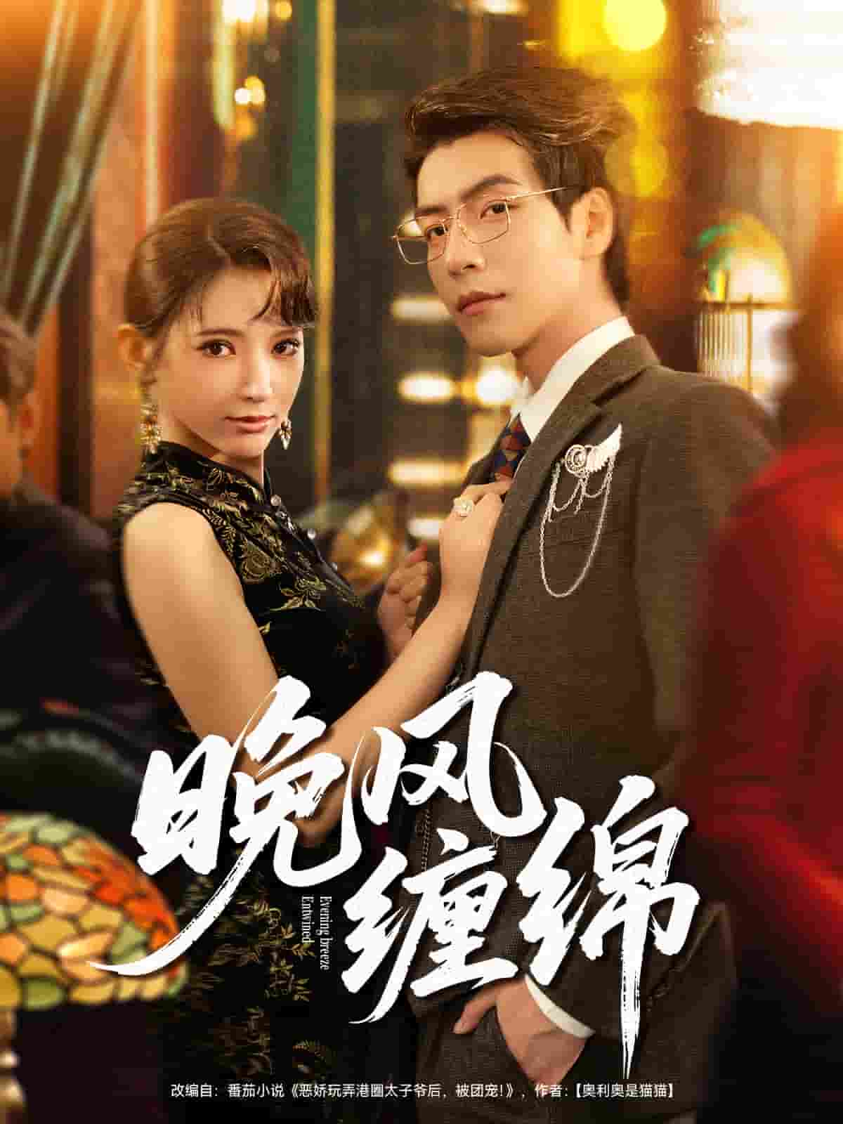 晚风缠绵封面