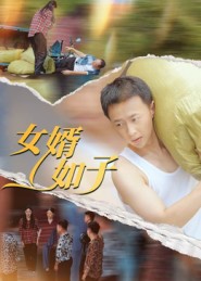 女婿如子封面