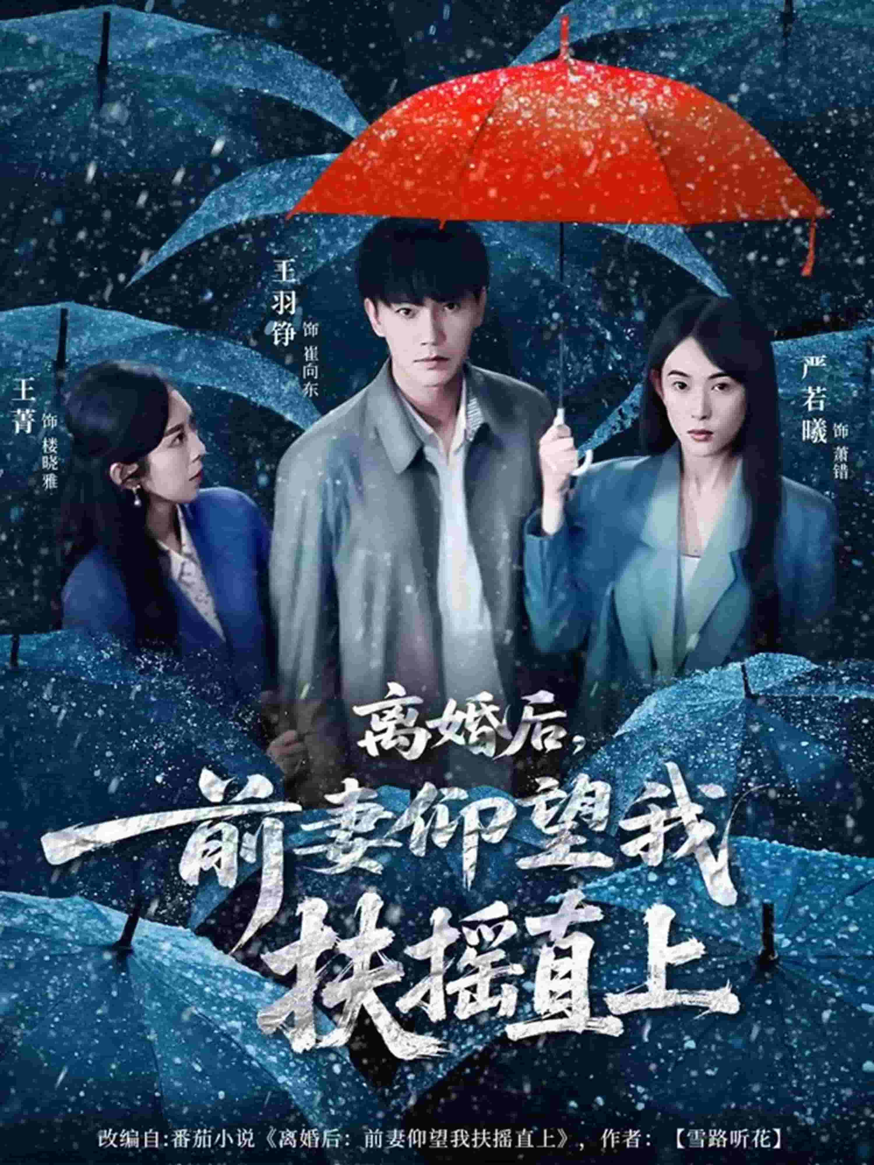 离婚后，前妻仰望我扶摇直上封面