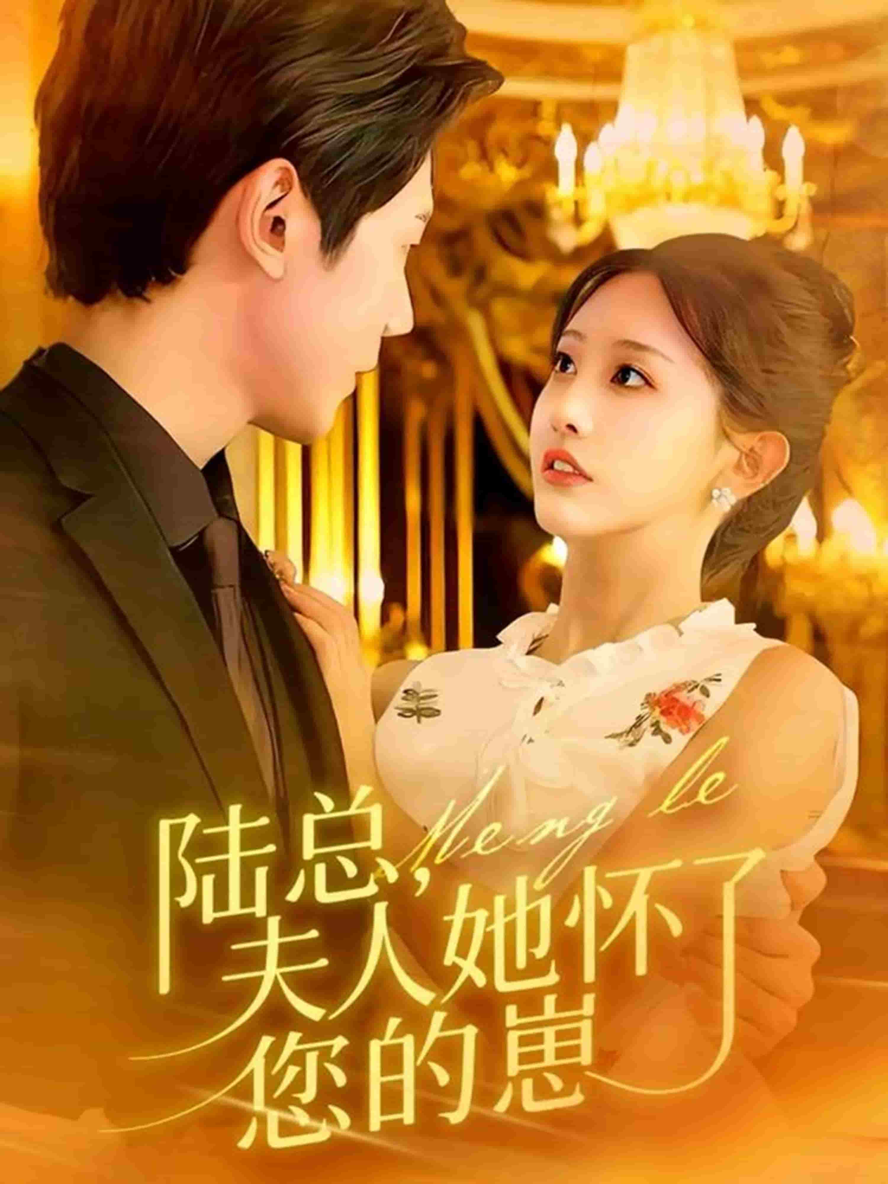 陆总，夫人她怀了您的崽封面