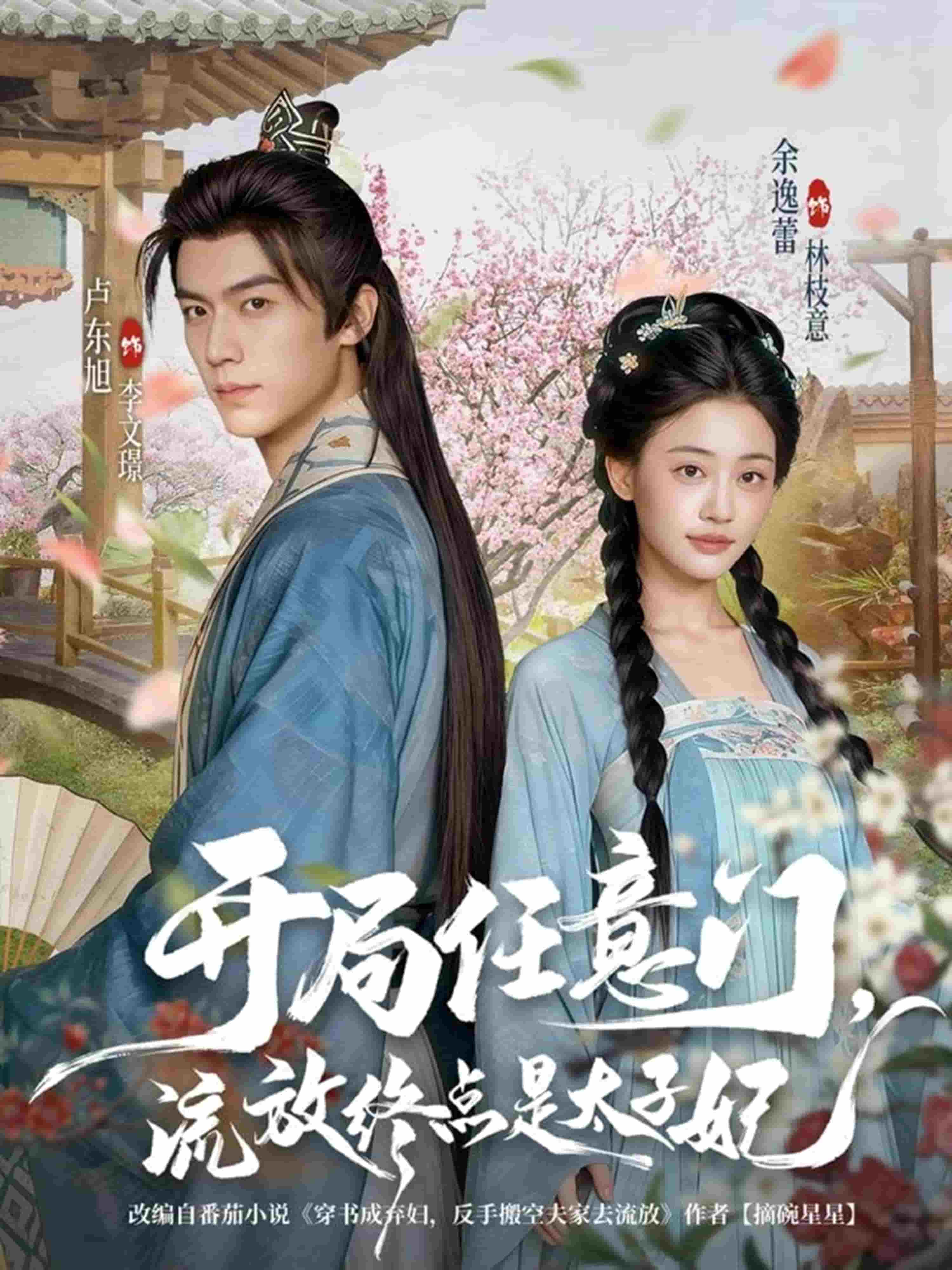 开局任意门流放终点是太子妃封面